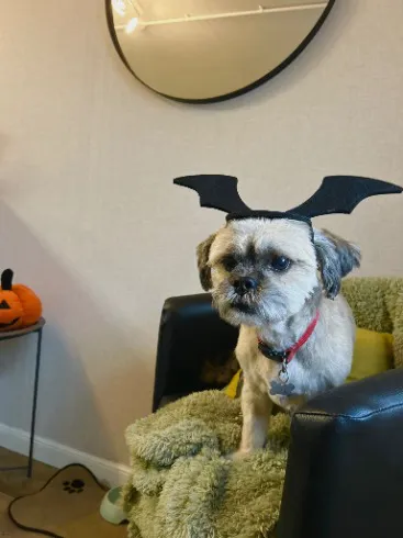 457644133_122183357480077359_7216237136446442203_n.webp Client 457644133_122183357480077359_7216237136446442203_n.webp