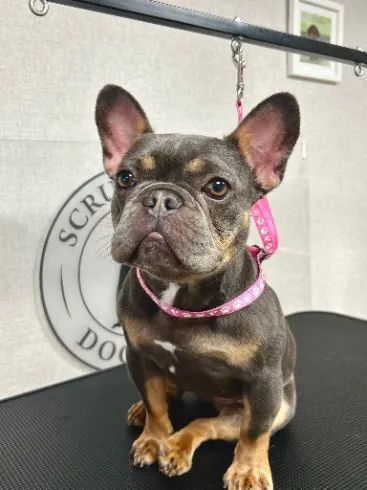 457691356_122183194952077359_1714027872082866347_n.webp Client 457691356_122183194952077359_1714027872082866347_n.webp