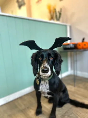 458331731_122184007610077359_5997869044317999097_n.webp Client 458331731_122184007610077359_5997869044317999097_n.webp