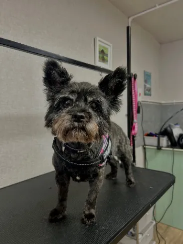 459346376_122184996680077359_5802268854373090229_n.webp Client 459346376_122184996680077359_5802268854373090229_n.webp