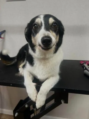 459834049_122185764746077359_8120473865484783262_n.webp Client 459834049_122185764746077359_8120473865484783262_n.webp