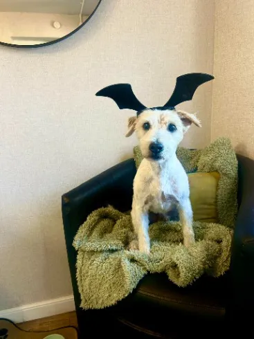 459988067_122186331380077359_4512720653360640589_n.webp Client 459988067_122186331380077359_4512720653360640589_n.webp