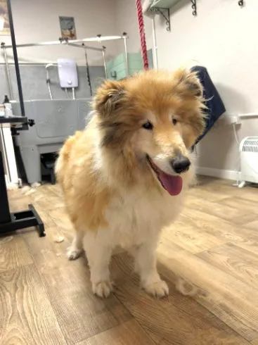 461189934_122187439604077359_6193968609850601295_n-2024-09-26-11-18-04.webp Client 461189934_122187439604077359_6193968609850601295_n-2024-09-26-11-18-04.webp